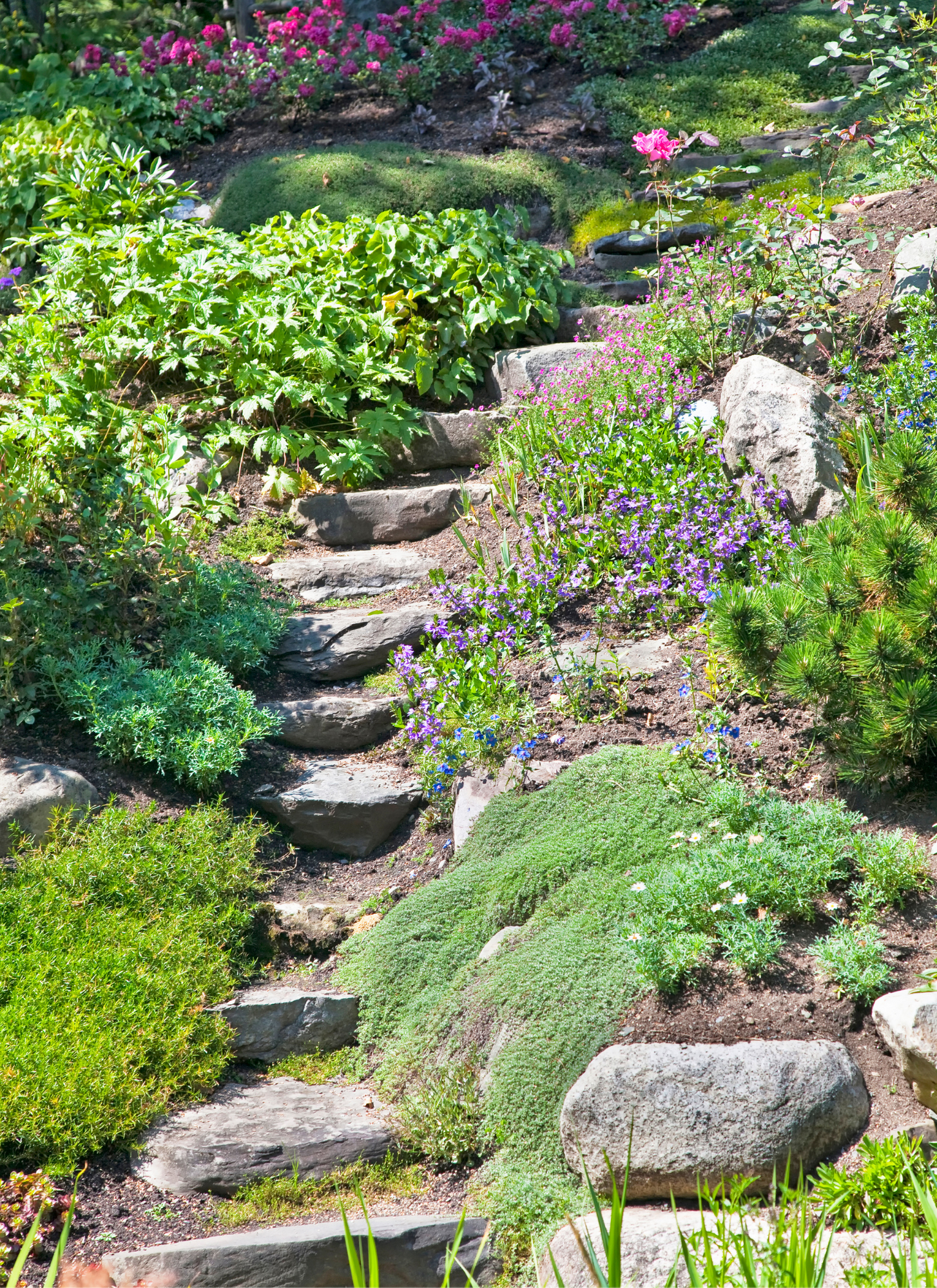 Rock steps